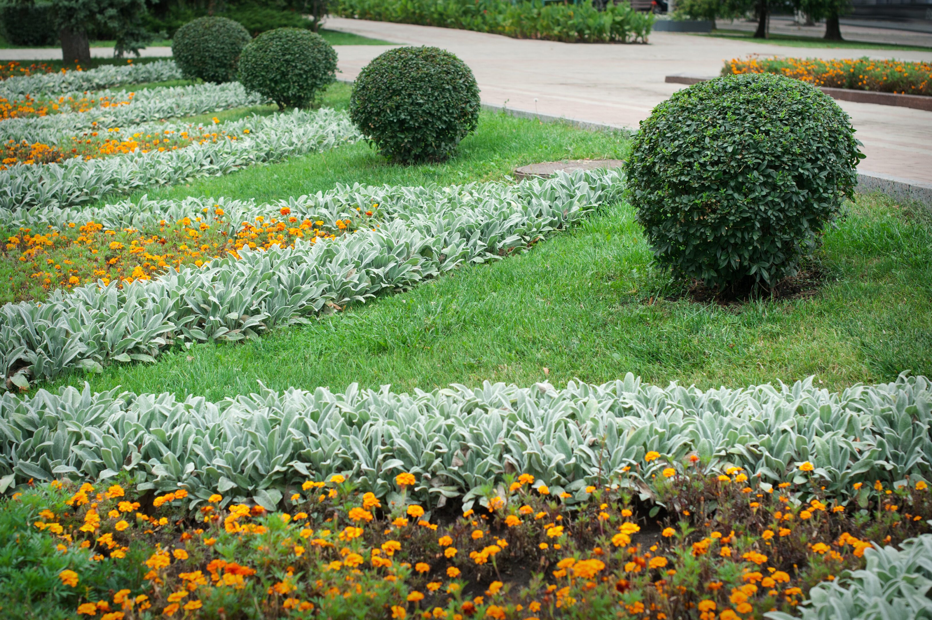 Landscaping in the garden. The path in the garden.